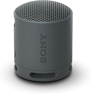 Sony SRS-XB100 Wireless Bluetooth Speaker IP67 (B tier)