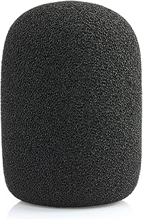 LEFXMOPHY AKG P420 Windscreen (B tier)