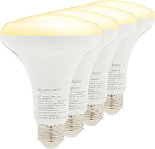 Amazon Basics Smart BR30 Soft White 4-Pack (B tier)