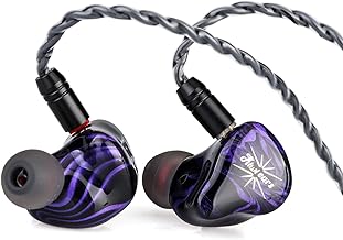 Kiwi Ears Quartet 2DD+2BA Hybrid In-Ear Monitor (B tier)