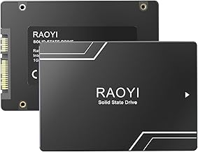 RAOYI 1TB SATA SSD (D tier)