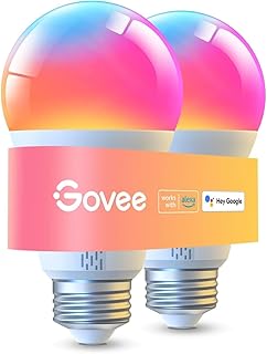Govee Smart Light Bulb A19 1000LM 2-Pack (B tier)