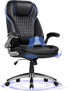 Executive Office Chair Ergonomic (D tier)