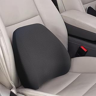 Super Cozy Lumbar Support Pillow (A tier)