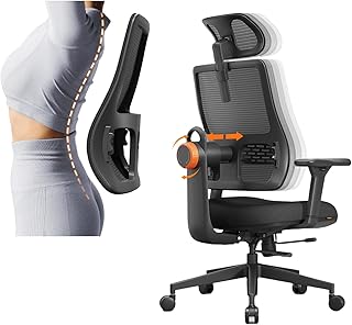 Newtral Ergonomic Home Office Chair (A tier)