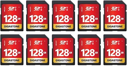 GIGASTONE 128GB SDXC 10-Pack (C tier)