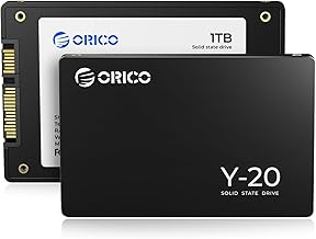 ORICO 1TB SATA SSD (C tier)