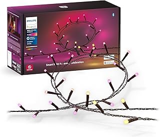 Philips Hue Festavia String Lights 65ft (A tier)