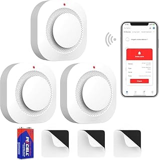 Smart Smoke Detector Fire Alarm WiFi with App Notifications (C tier)
