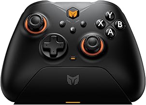 BIGBIG WON Gale Wireless Controller (B tier)