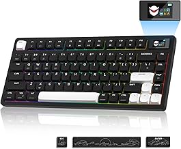 SK65 60% Wireless Mechanical Keyboard (C tier)