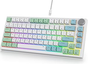 Fogruaden 75% Wired Mechanical Keyboard (C tier)