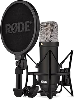 Rode NT1 Signature Series Condenser XLR Microphone (B tier)