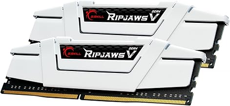 G.SKILL RipjawsV DDR4 32GB 3600MHz (B tier)