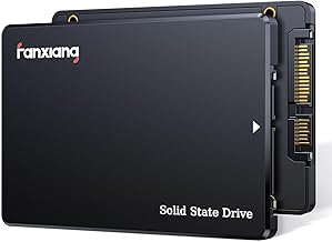 fanxiang 1TB SATA SSD (C tier)
