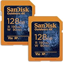 SanDisk Outdoors 128GB SDXC 2-Pack (C tier)