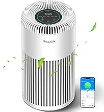GoveeLife Smart Air Purifier with PM2.5 Sensor (B tier)