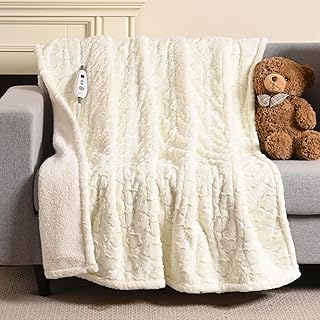 Bearhug Heated Throw Blanket 50x60 Faux Fur (B tier)