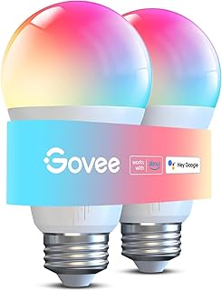 Govee Smart Light Bulb A19 1200LM 2-Pack (B tier)