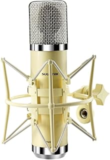 FET TM251S Condenser XLR Microphone (D tier)