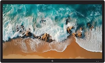 43-inch 4K Outdoor TV Weatherproof (D tier)