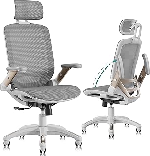 GABRYLLY Ergonomic Office Chair White (B tier)