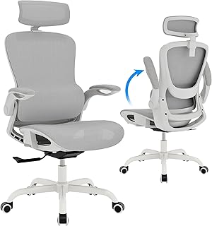 GABRYLLY Ergonomic Mesh Office Chair White (C tier)