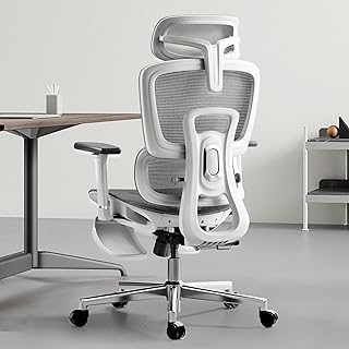 Hbada Ergonomic Office Chair White (B tier)