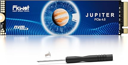 FX660 2TB PCIe Gen4 NVMe SSD (D tier)