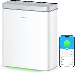GoveeLife Smart Air Purifier with PM2.5 Monitor (B tier)