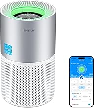 GoveeLife Smart Air Purifier with Monitor (C tier)