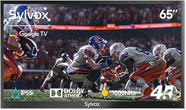 Sylvox 65-Inch Outdoor Smart TV Deck Pro (C tier)