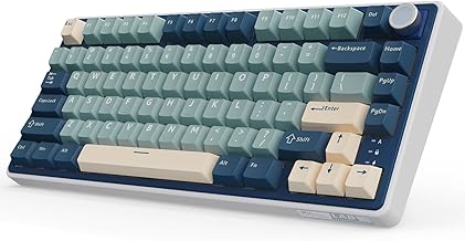 RK ROYAL KLUDGE R75 75% Wireless Mechanical Keyboard (B tier)