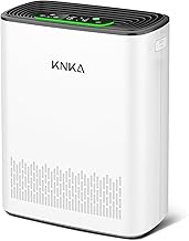 KNKA APH3000 HEPA Air Purifier (C tier)