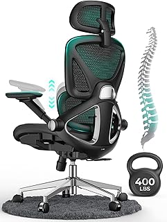 CAPOT Ergonomic Mesh Office Chair (B tier)