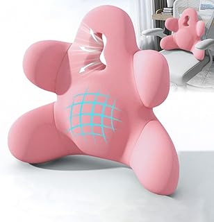 Lumbar Support Pillow Memory Foam Pink (C tier)