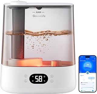 GoveeLife Smart 6L Cool Mist Humidifier (A tier)
