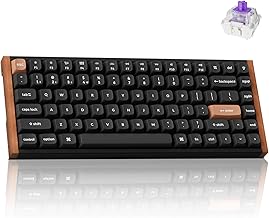 Keychron K2 HE 75% Wireless Mechanical Keyboard (S tier)