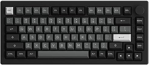 Akko 5075B Plus 75% Mechanical Keyboard (B tier)