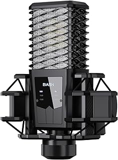 Basn BMS2 Condenser XLR Microphone (D tier)