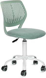 Homy Casa Armless Home Office Desk Chair (D tier)