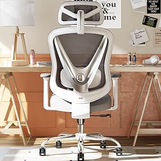 HOLLUDLE Ergonomic Mesh Office Chair White (B tier)