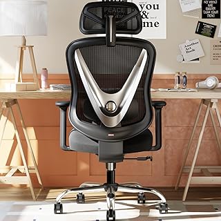 HOLLUDLE Ergonomic Mesh Office Chair 3D Lumbar Support Black (B tier)