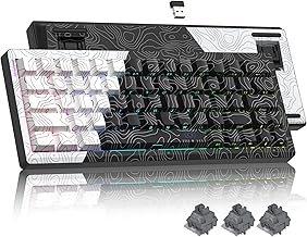 Womier 60% Wireless Mechanical Keyboard Q61 (B tier)
