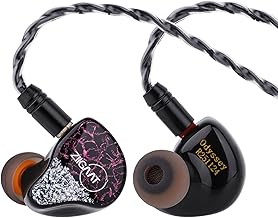 ZiiGaat Odyssey 1DD+3BA Hybrid In-Ear Monitor (B tier)