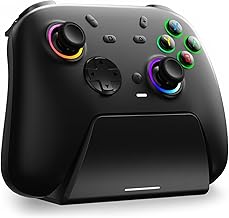 DuLingKer Wireless Game Controller (B tier)