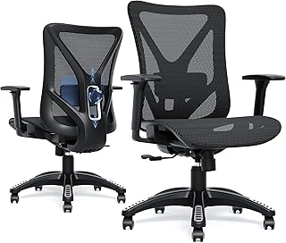 Ergonomic Office Chair Mesh Computer Desk Chair Lumbar Support (C tier)