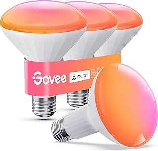 Govee BR30 Smart Light Bulb Matter RGBWW 4-Pack (A tier)