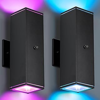 Outdoor Wall Lights RGBCW Smart Sconce 2-Pack (C tier)