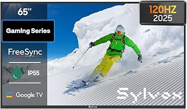 Sylvox 65-Inch Outdoor 4K Gaming TV (B tier)